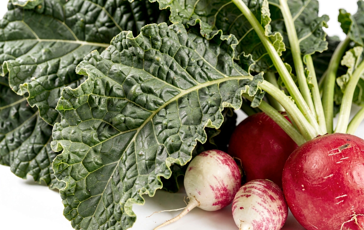 Organische Qualität